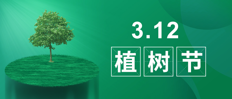 3.12植樹節(jié)|除了植樹，我們還能做什么？